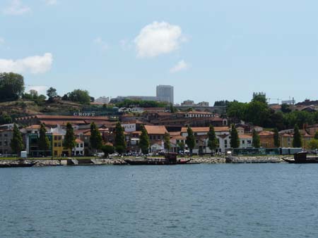 P1000528