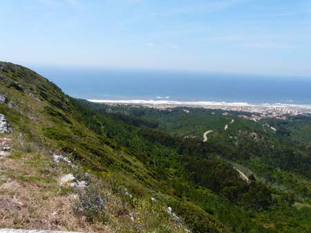 P1000562