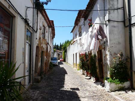 P1000575